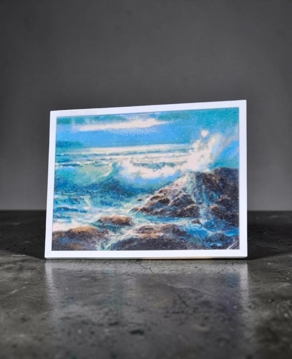 ROCKY SHORES