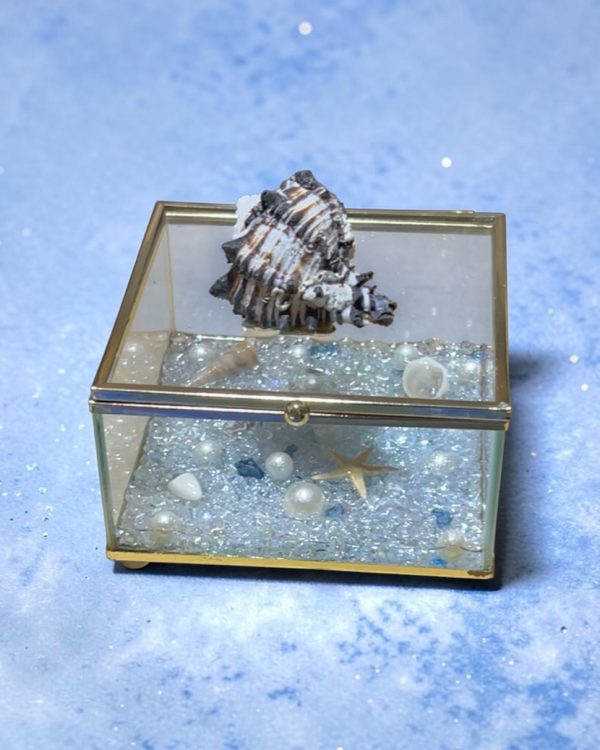 SEASCAPE JEWELRY BOX