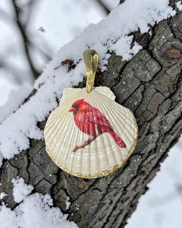CARDINAL IN THE PINES