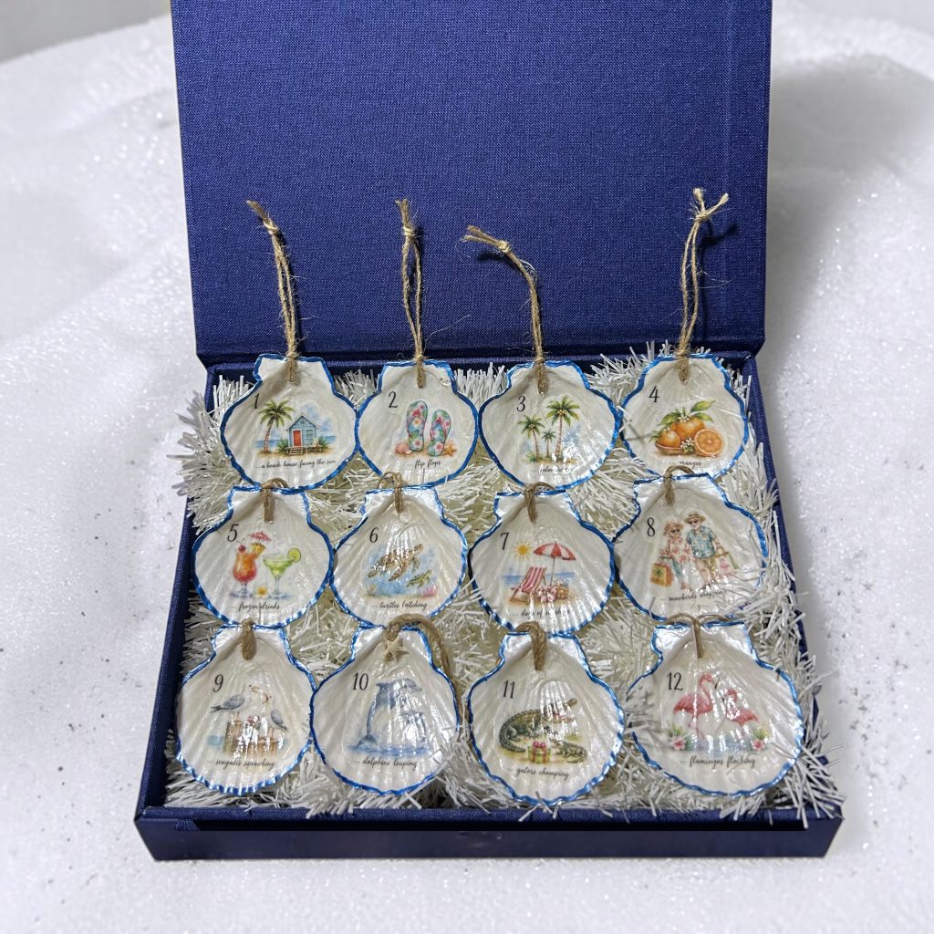 12 DAYS OF BEACHY CHRISTMAS - medium shell