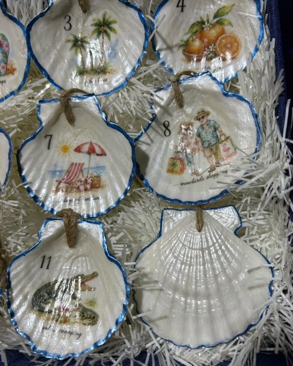 12 DAYS OF BEACHY CHRISTMAS - medium shell view 2